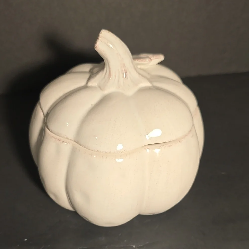 Pier‎ 1 Hand Painted Dolomite Ceramic Lidded Distressed White Pumpkin